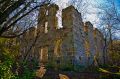 Filename=Living_Stone.jpg
Filesize=845KB
Dimensions=800x533
Date added=Mar 15, 2008 Living_Stone.jpg