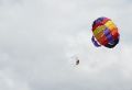 IMG_3252.jpg