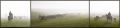 Filename=triptych2t.jpg
Filesize=73KB
Dimensions=1024x243
Date added=May 22, 2010 triptych2t.jpg